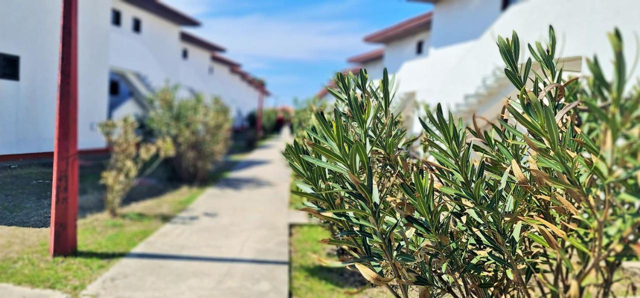 Fkk Ada Bojana Otel Ülgün Dış mekan fotoğraf